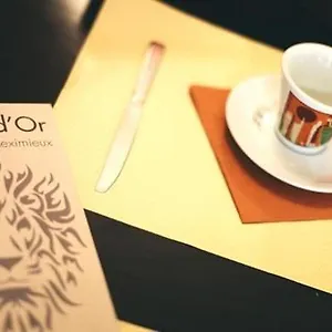 Brasserie Le Lion D'or Meximieux